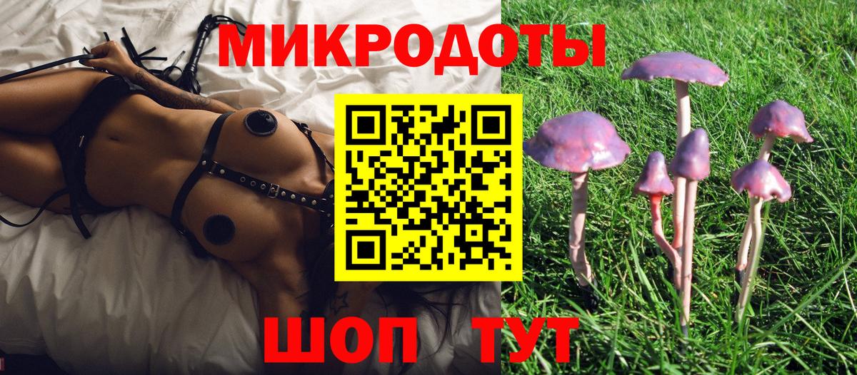 цена   Псилоцибиновые грибы MAGIC MUSHROOMS  Острогожск  Вход с VPN  Псилоцибиновые грибы Psilocybine cubensis 