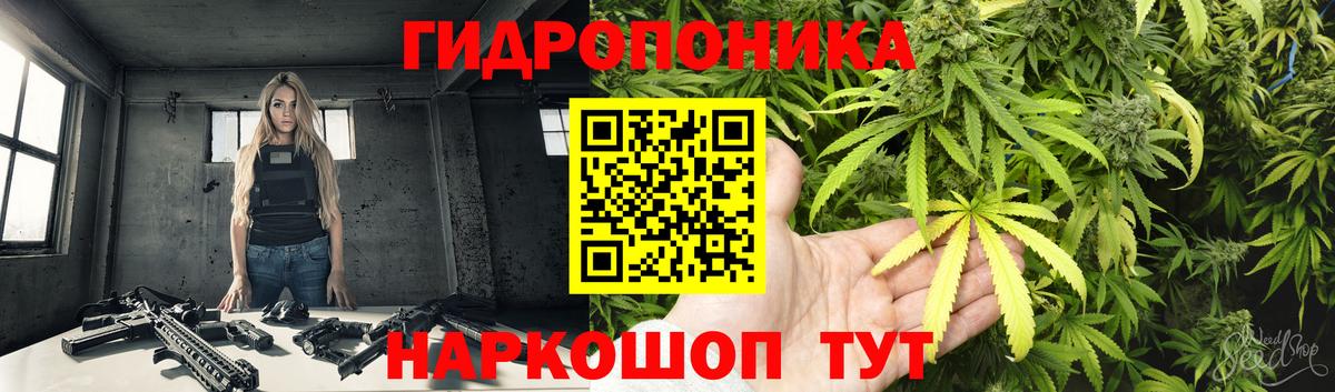 Острогожск  Конопля гибрид  Канабис ГИДРОПОН  Конопля семена  Вход с VPN 